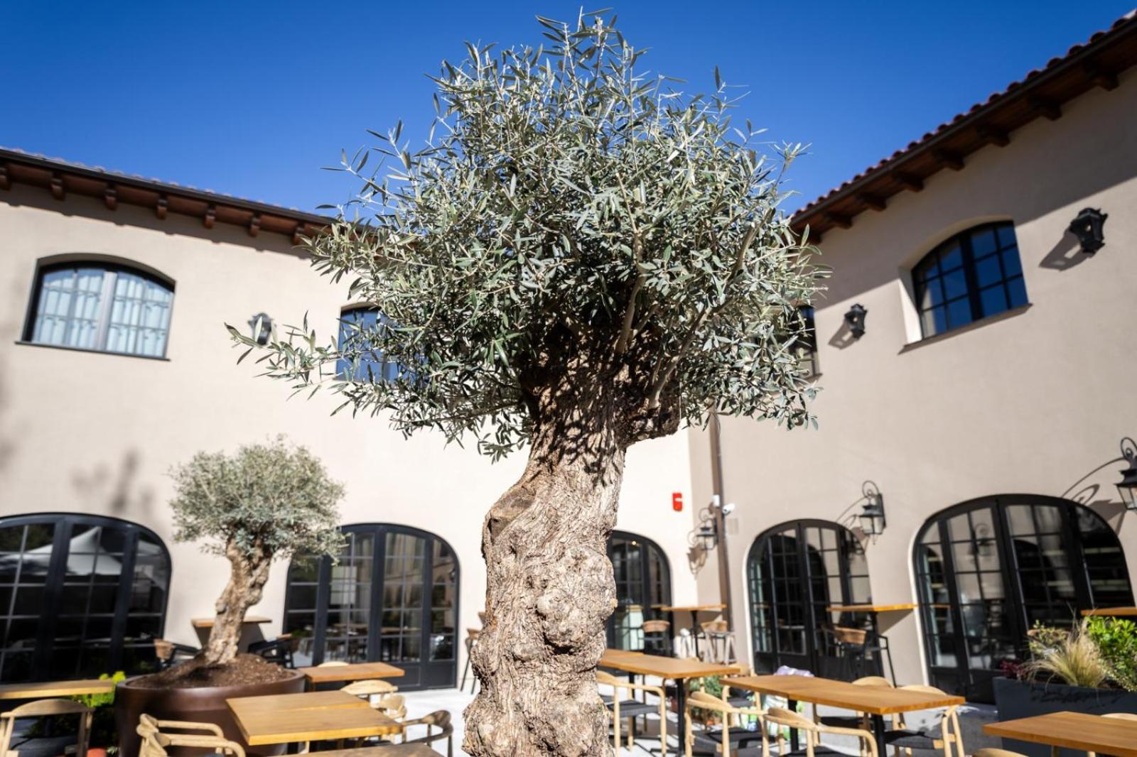 Hotel & Spa Convento San Francisco Soria Exterior photo